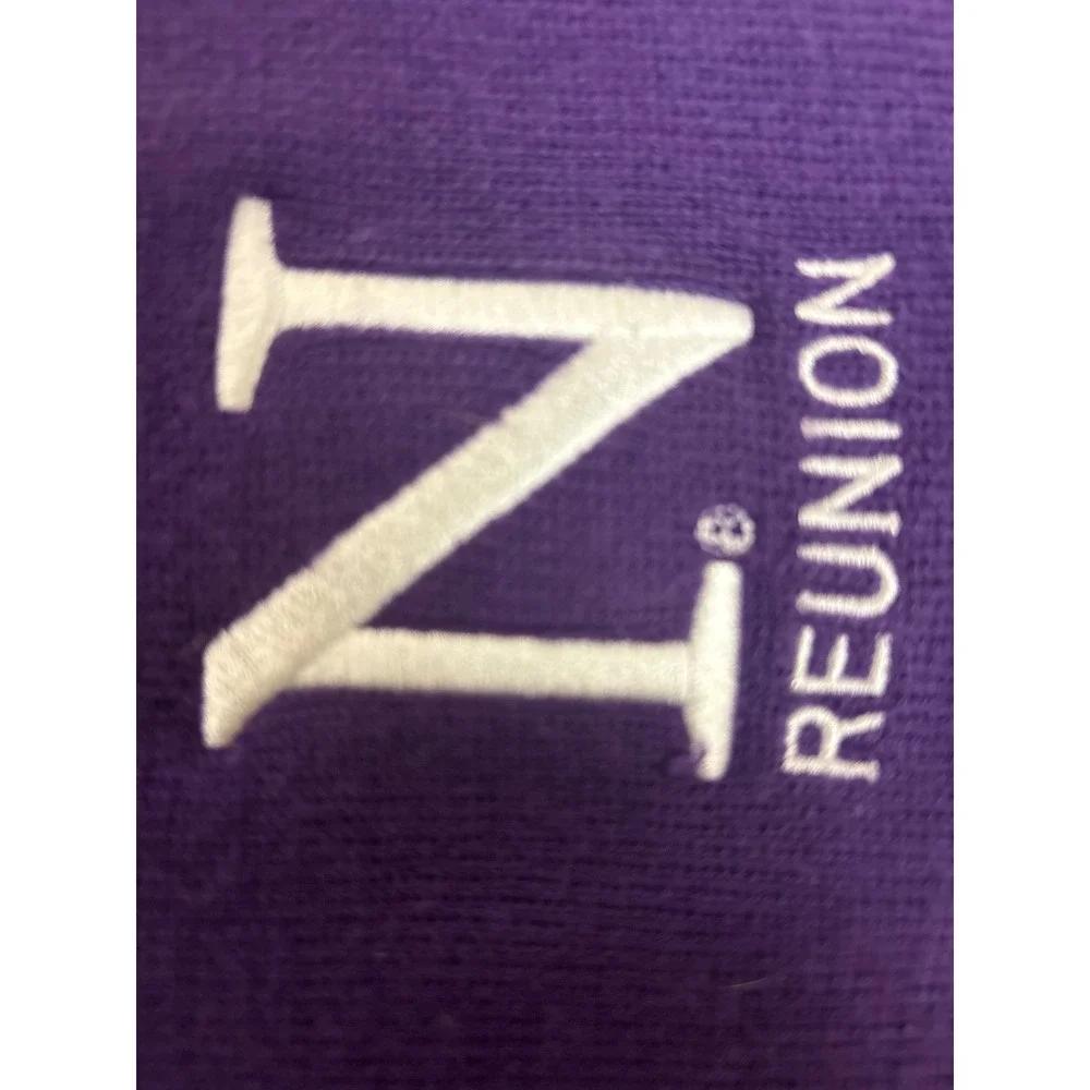 Northwestern University Reunion Scarf Purple Grey Striped Knit Embroidered N